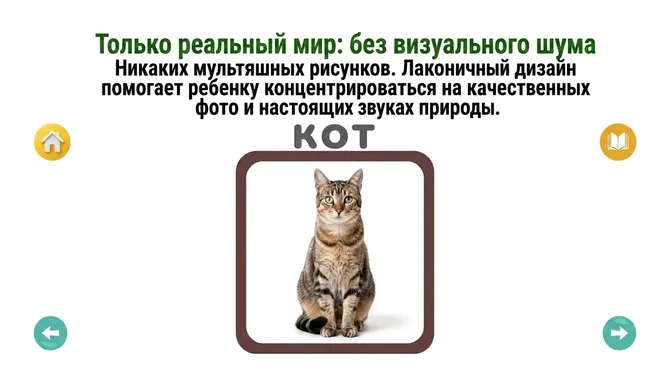 Скриншот 2/6