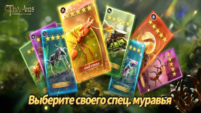 Скриншот 5/5