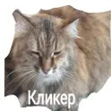 Амара кликер логотип
