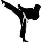 Kyokushin-Kata логотип