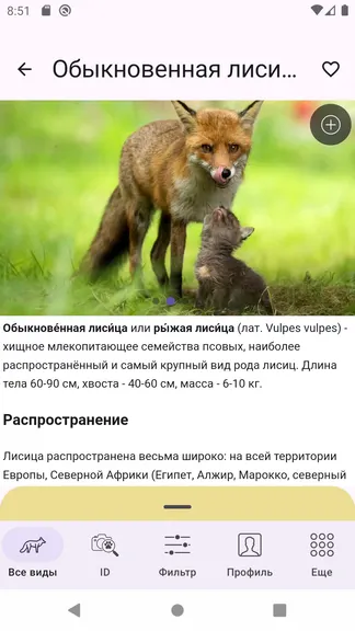 Скриншот 4/7