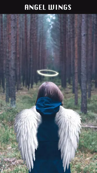 Скриншот 1/5