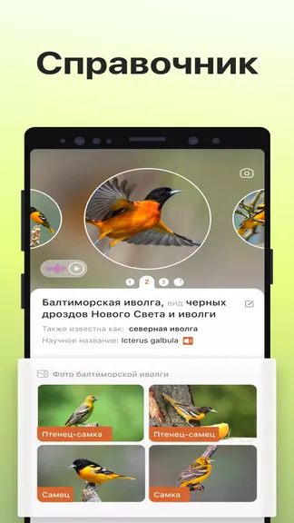 Скриншот 4/6