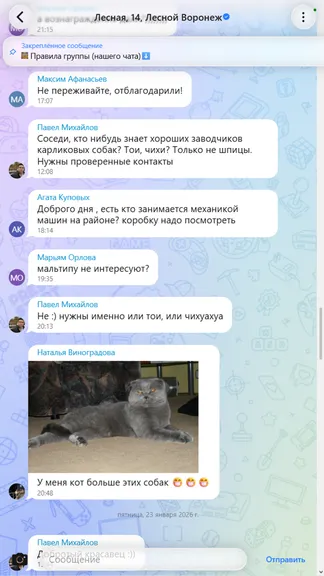 Скриншот 2/5