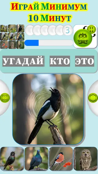 Скриншот 1/4