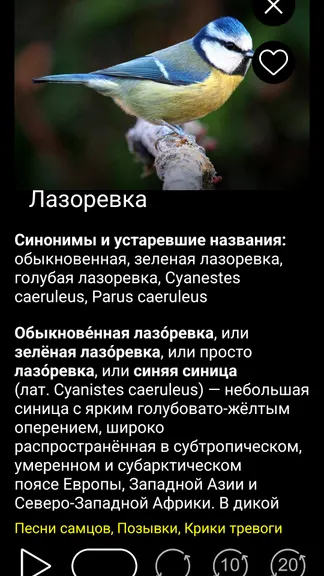 Скриншот 3/8