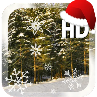 Winter Forest Live Wallpaper