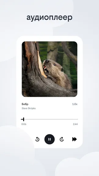 Скриншот 10/10