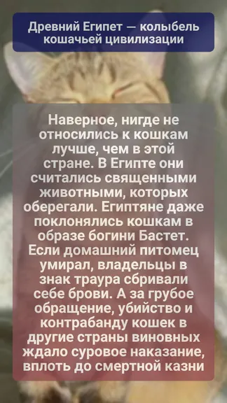 Скриншот 2/3