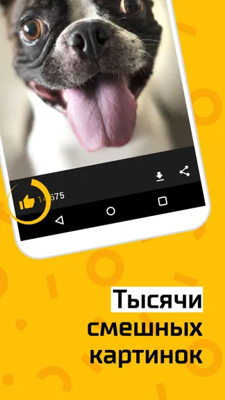 Скриншот 2/4