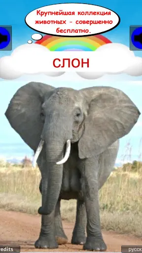 Скриншот 6/10