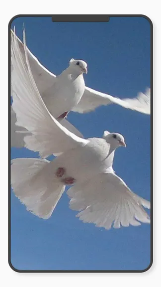 Скриншот 4/10