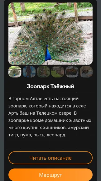 Скриншот 6/9