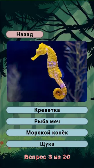 Скриншот 6/8