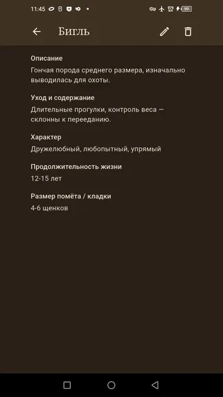 Скриншот 9/10