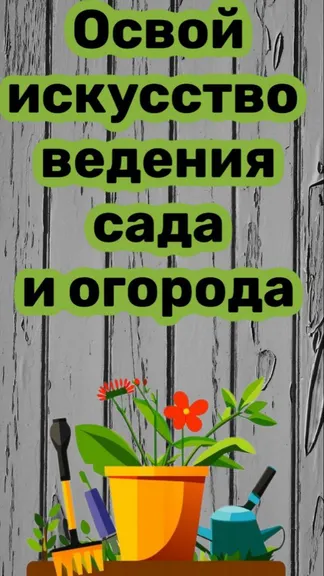 Скриншот 1/4