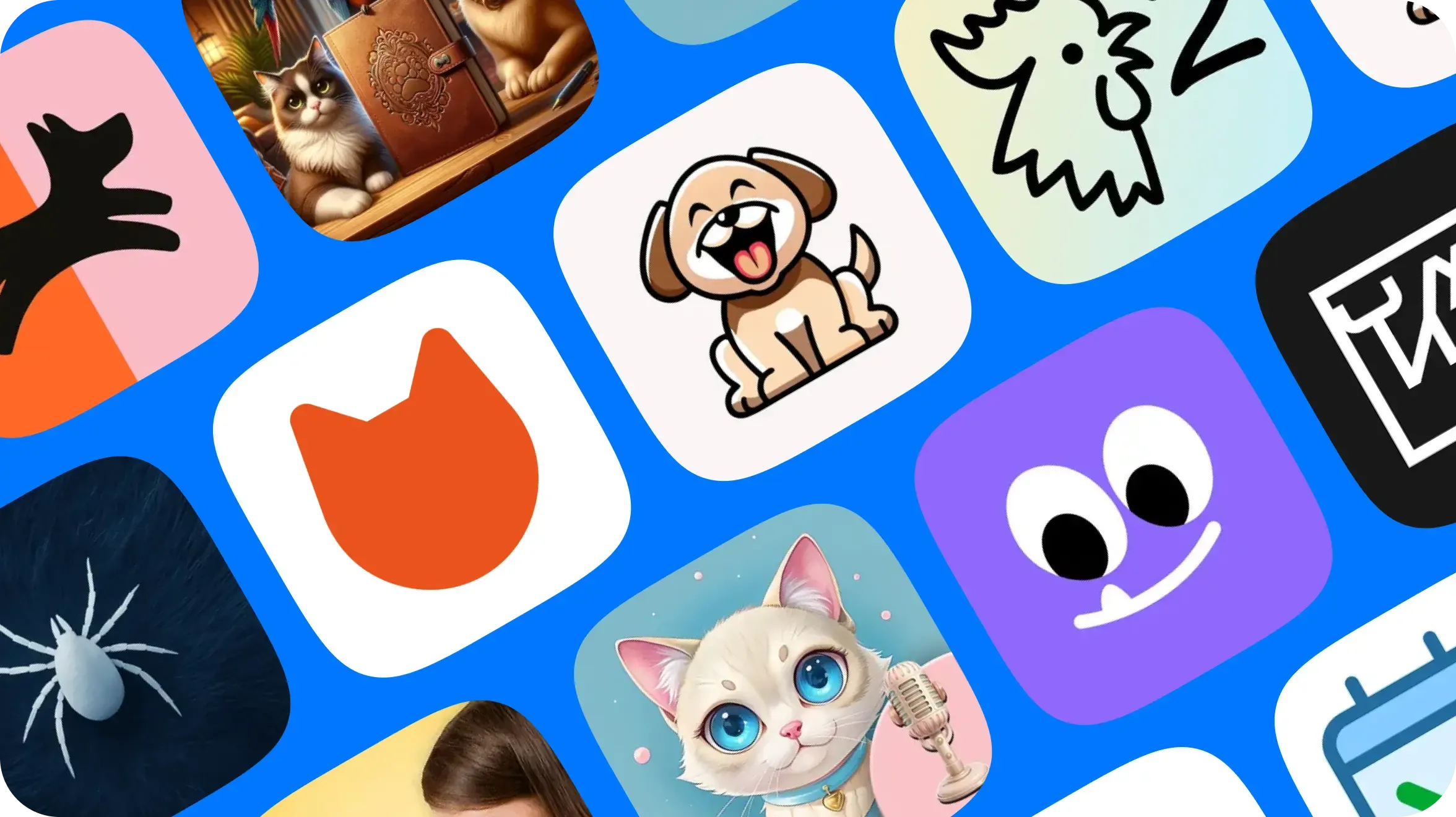 top_pytomtcy784х440