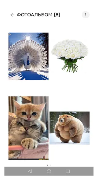 Скриншот 10/10