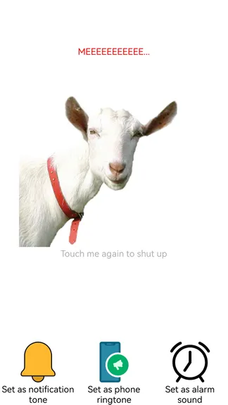 Скриншот 3/3