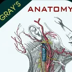 Gray's Anatomy - Anatomy Atlas логотип