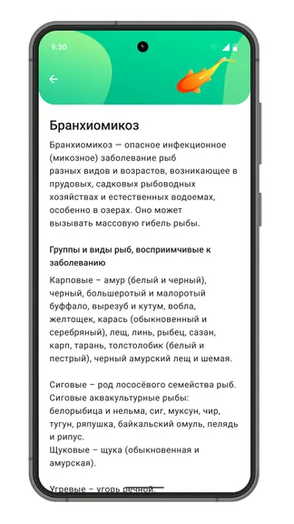 Скриншот 4/4