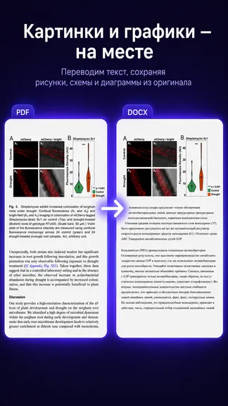 PDF Translator AI — скачать для Android 5,0★ бесплатно 📱 в RuStore