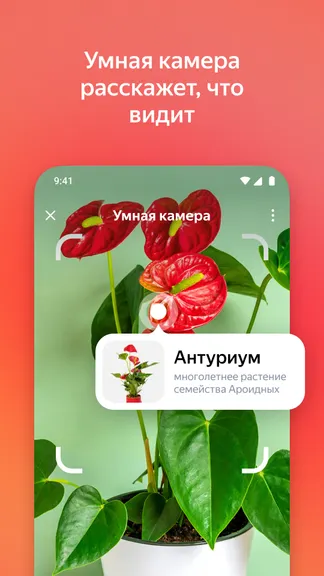 Скриншот 7/9