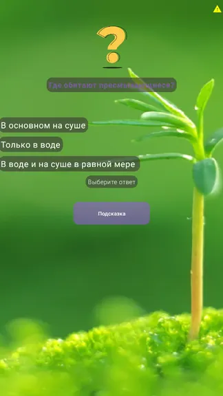 Скриншот 1/2