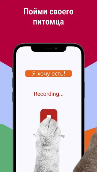 Скриншот 2/4