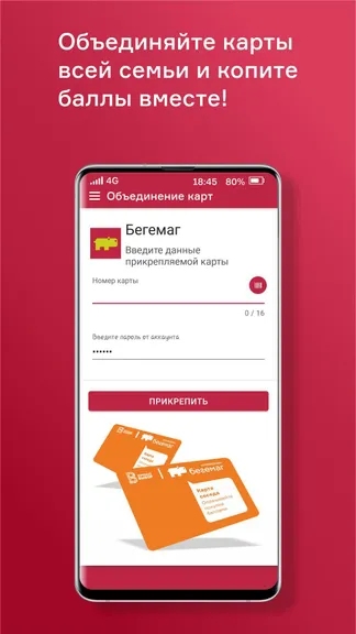 Скриншот 3/5