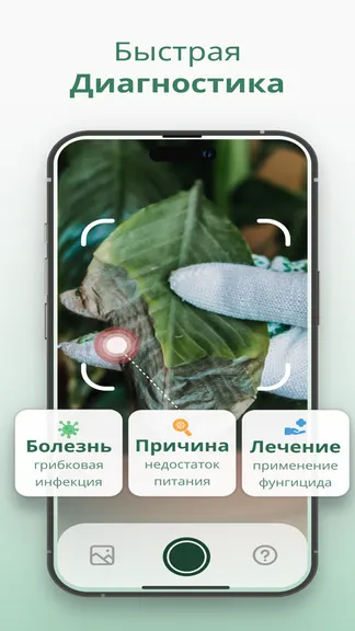 Скриншот 4/6