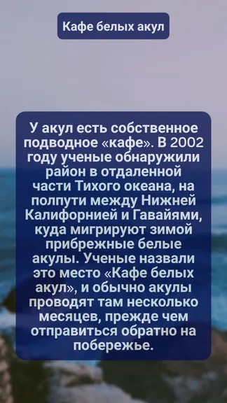 Скриншот 3/3