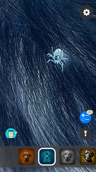 Скриншот 4/5