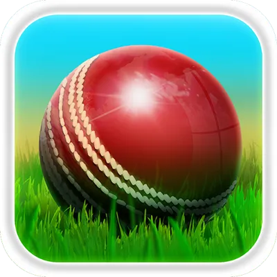 Cricket 3D