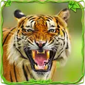 Furious Tiger Simulator логотип
