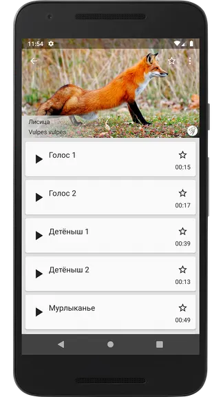 Скриншот 3/4