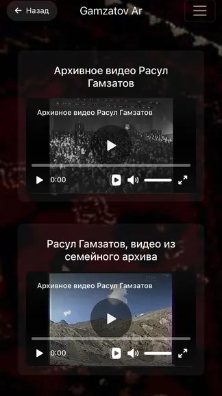 Скриншот 3/4