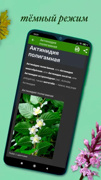 Скриншот 6/10