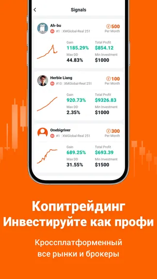 Скриншот 6/10