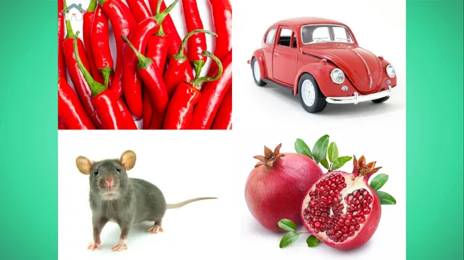 Скриншот 8/8