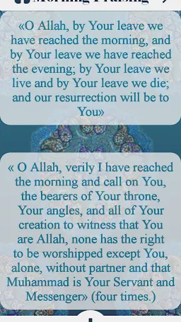 Скриншот 5/8