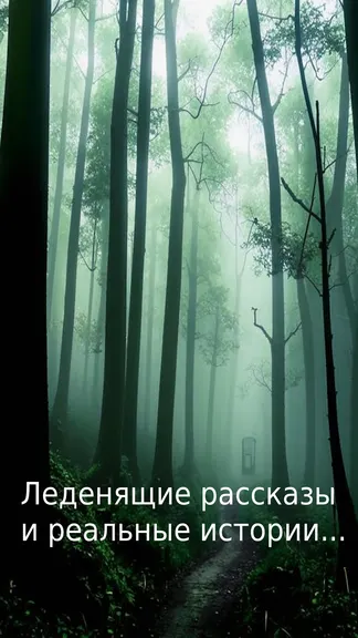Скриншот 2/4