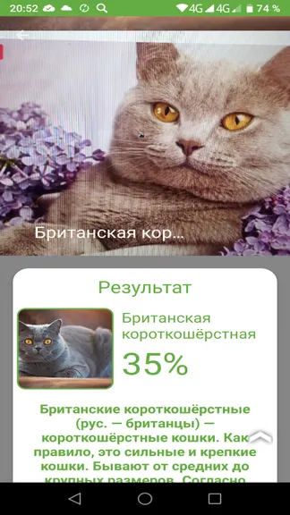 Скриншот 6/6