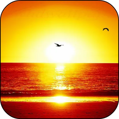 Sunset Beach Live Wallpaper