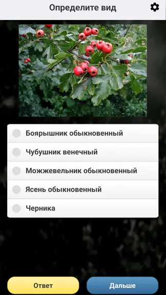 Скриншот 6/8