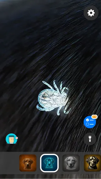 Скриншот 2/5