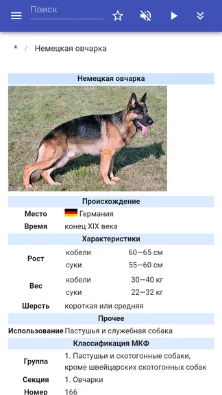 Скриншот 4/5
