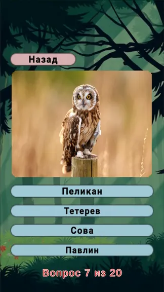 Скриншот 3/8