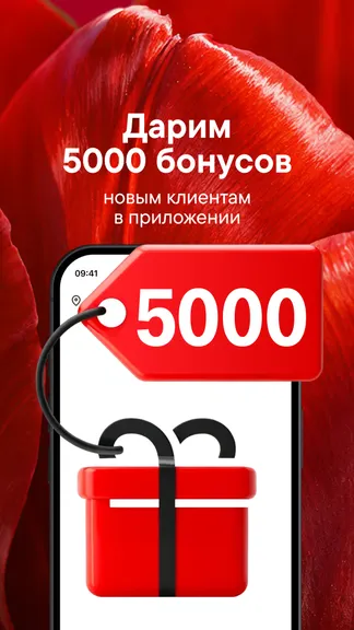 Скриншот 1/9