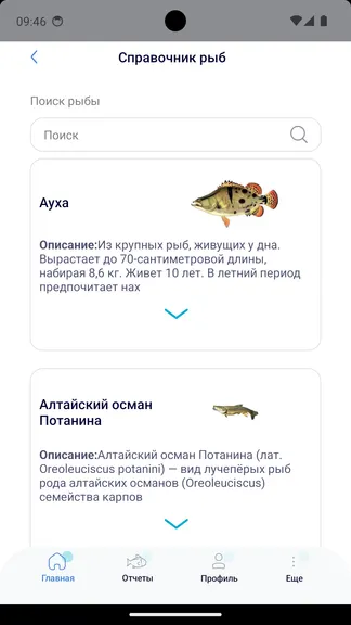 Скриншот 7/8